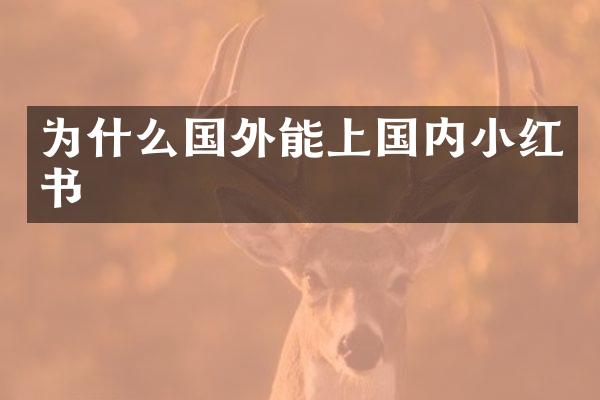 为什么国外能上国内小红书