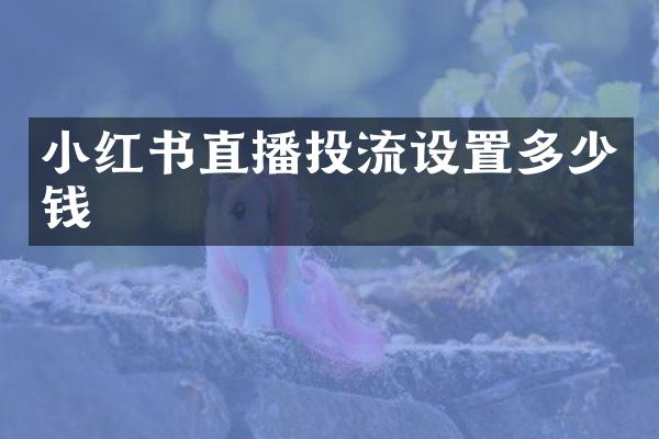 小红书直播投流设置多少钱