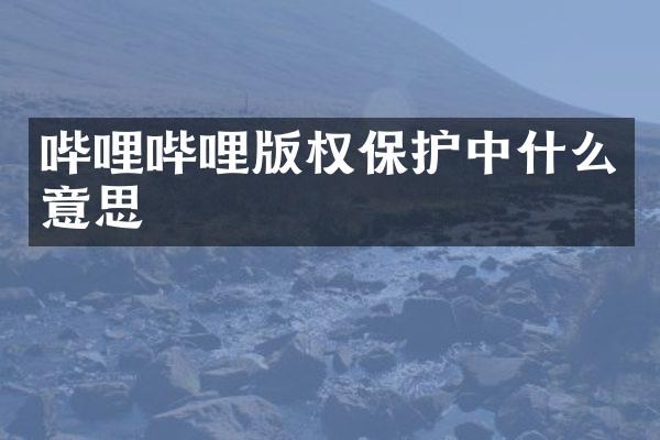 哔哩哔哩版权保护中什么意思