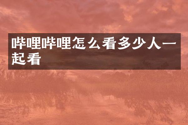 哔哩哔哩怎么看多少人一起看