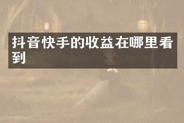 抖音快手的收益在哪里看到