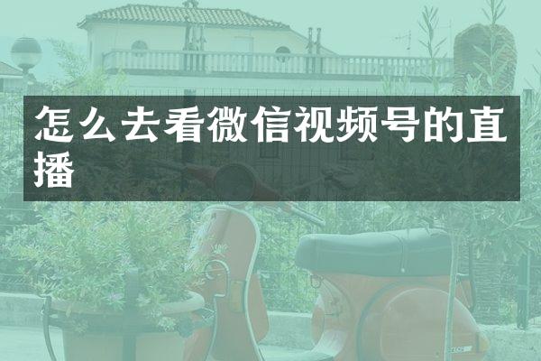怎么去看微信视频号的直播