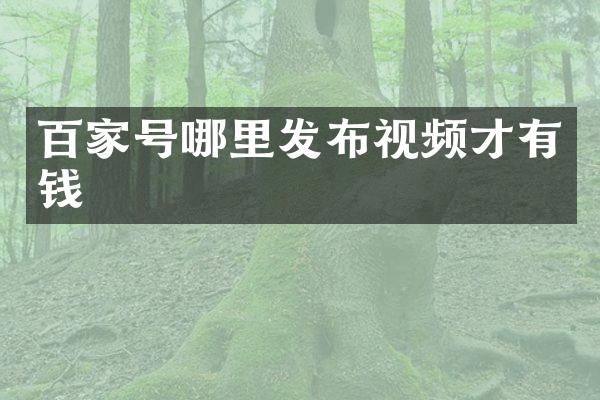 百家号哪里发布视频才有钱