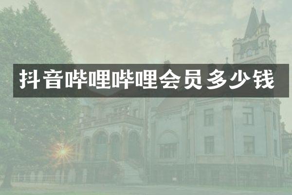 抖音哔哩哔哩会员多少钱