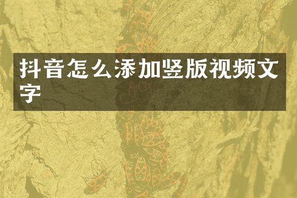 抖音怎么添加竖版视频文字