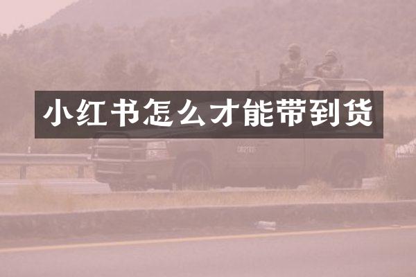 小红书怎么才能带到货