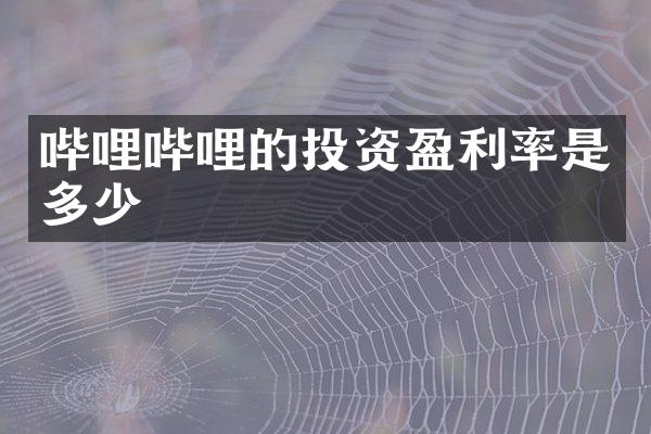 哔哩哔哩的投资盈利率是多少