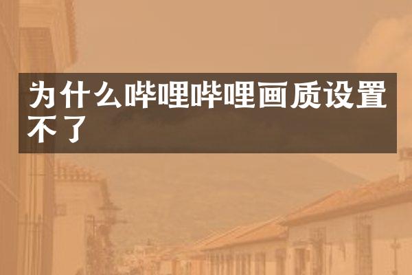 为什么哔哩哔哩画质设置不了