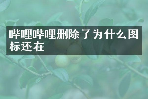 哔哩哔哩删除了为什么图标还在