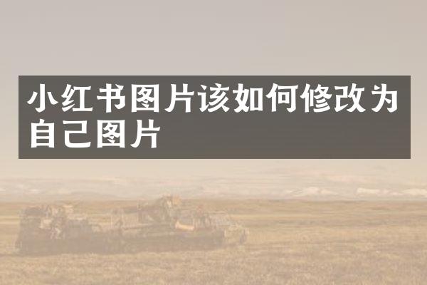 小红书图片该如何修改为自己图片