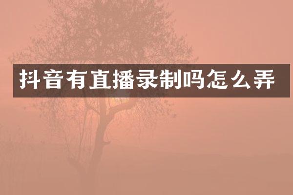 抖音有直播录制吗怎么弄