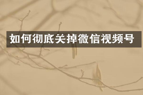 如何彻底关掉微信视频号