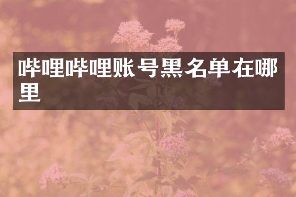 哔哩哔哩账号黑名单在哪里