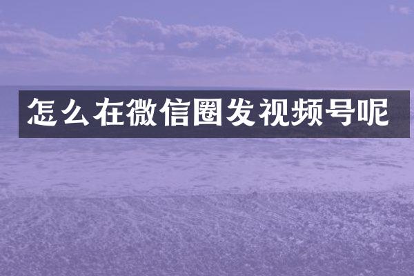 怎么在微信圈发视频号呢