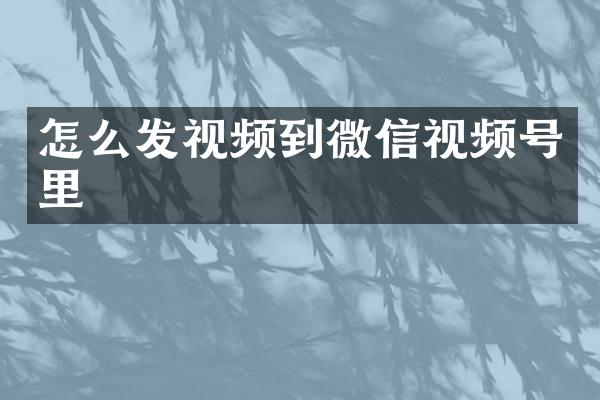 怎么发视频到微信视频号里
