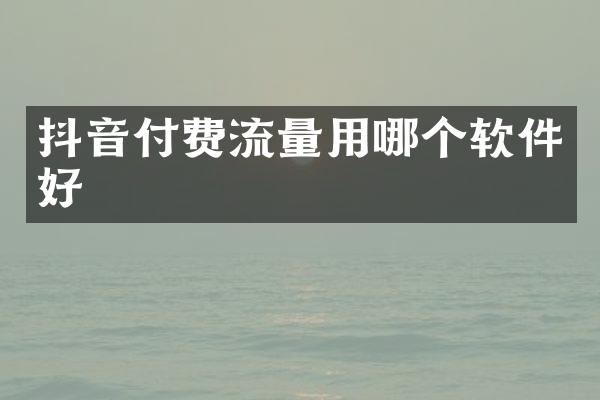 抖音付费流量用哪个软件好