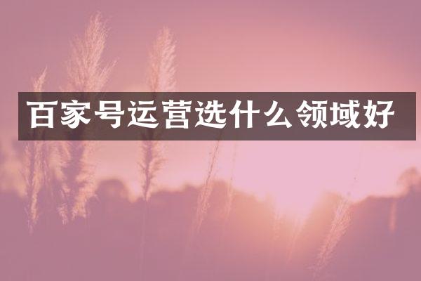 百家号运营选什么领域好