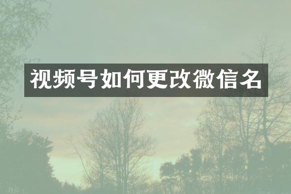 视频号如何更改微信名