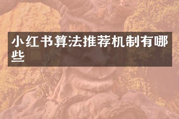 小红书算法推荐机制有哪些