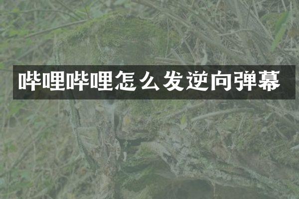哔哩哔哩怎么发逆向弹幕