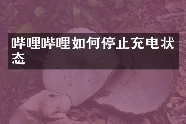 哔哩哔哩如何停止充电状态