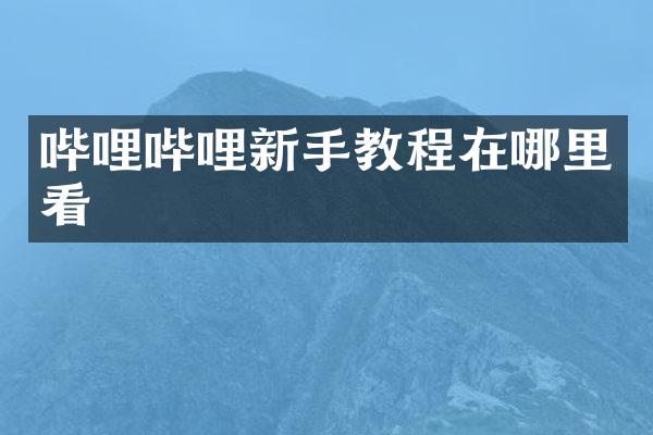 哔哩哔哩新手教程在哪里看