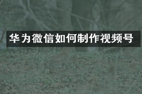 华为微信如何制作视频号