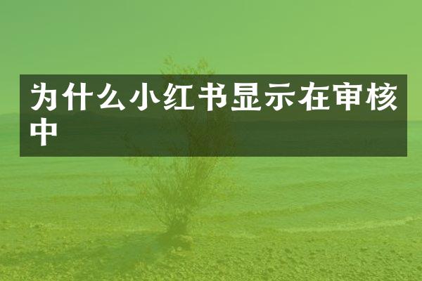 为什么小红书显示在审核中