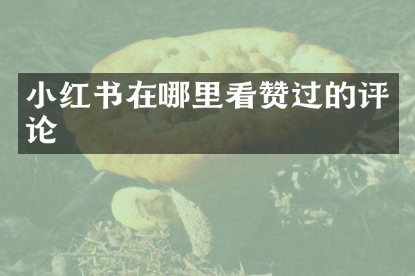 小红书在哪里看赞过的评论