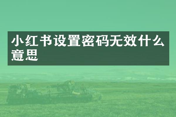 小红书设置密码无效什么意思