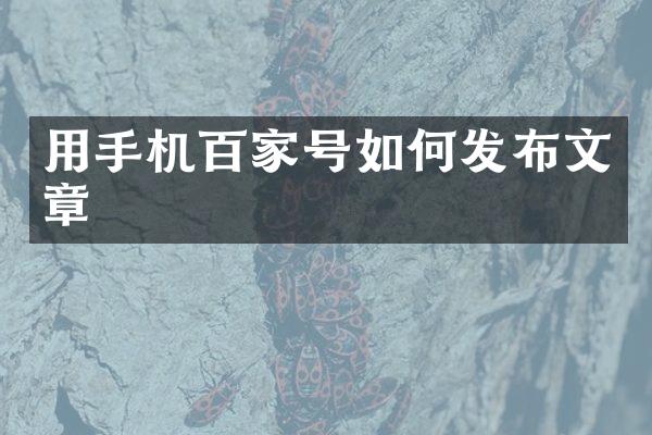 用手机百家号如何发布文章