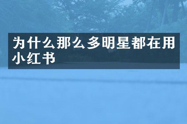 为什么那么多明星都在用小红书
