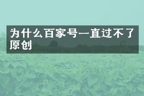 为什么百家号一直过不了原创