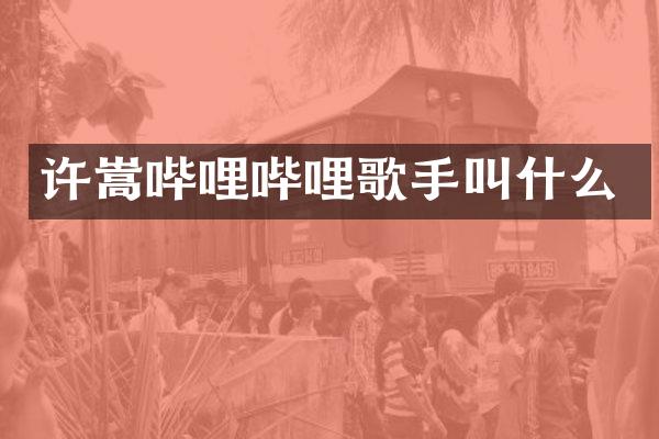 许嵩哔哩哔哩歌手叫什么