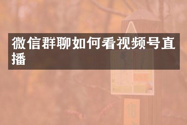 微信群聊如何看视频号直播