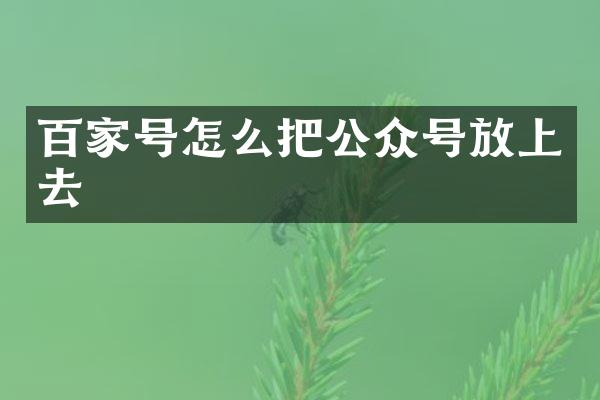 百家号怎么把公众号放上去