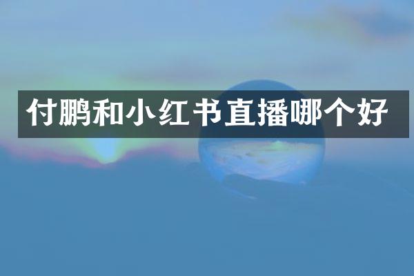 付鹏和小红书直播哪个好