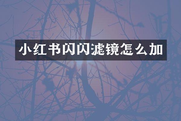 小红书闪闪滤镜怎么加