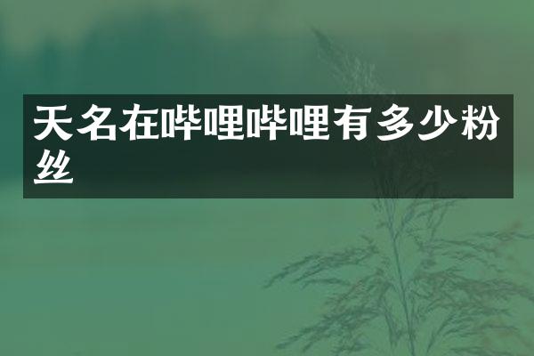 天名在哔哩哔哩有多少粉丝
