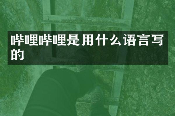 哔哩哔哩是用什么语言写的