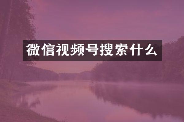 微信视频号搜索什么