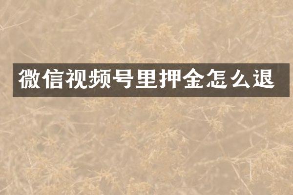 微信视频号里押金怎么退