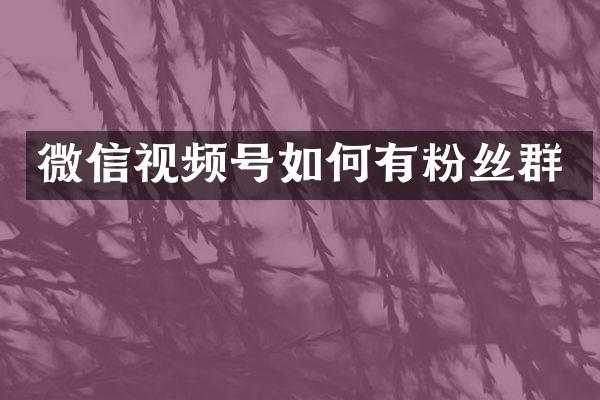 微信视频号如何有粉丝群
