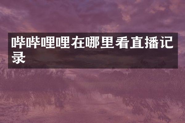 哔哔哩哩在哪里看直播记录