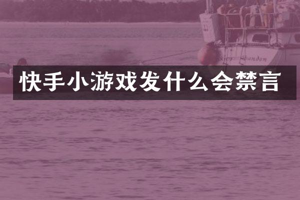 快手小游戏发什么会禁言