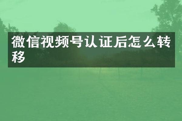 微信视频号认证后怎么转移