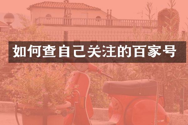 如何查自己关注的百家号