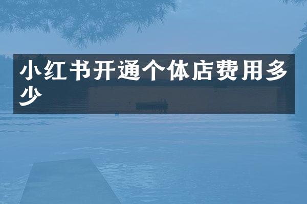 小红书开通个体店费用多少