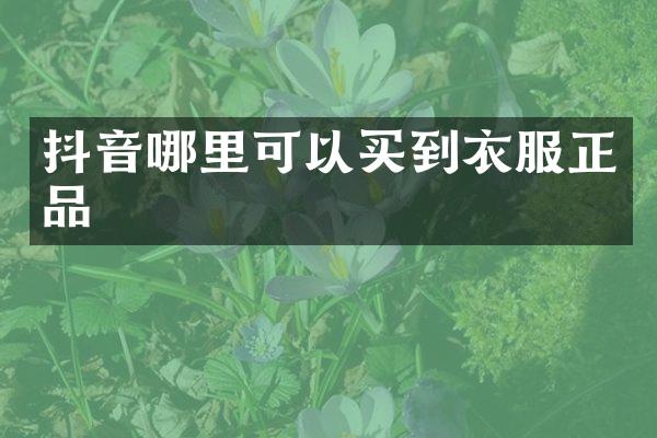 抖音哪里可以买到衣服正品