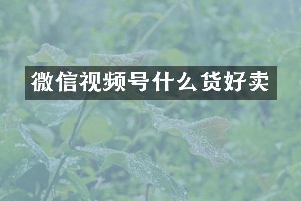 微信视频号什么货好卖